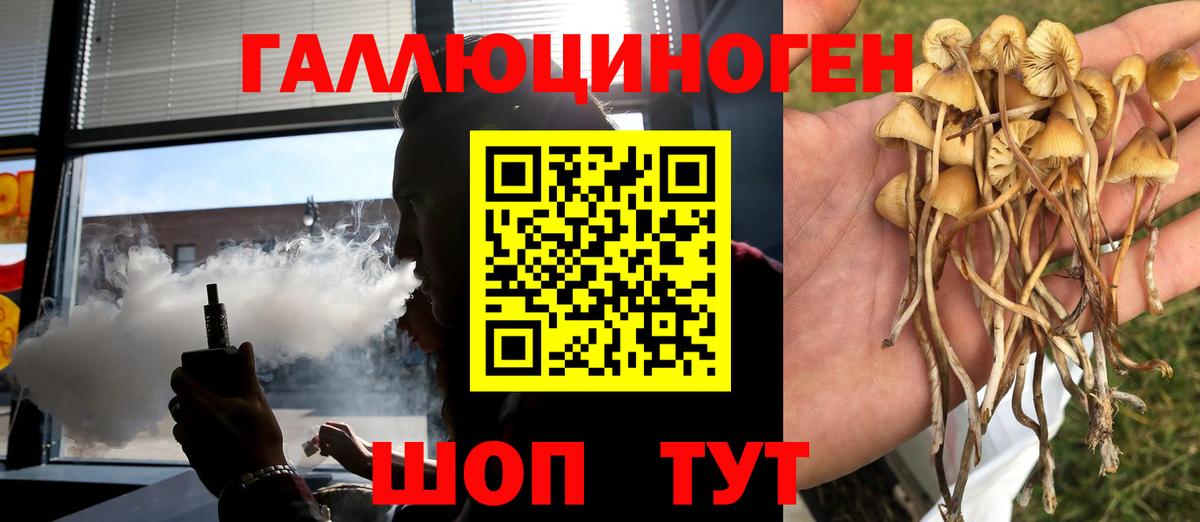 цена наркотик  Вход с VPN  Мценск  Галлюциногенные грибы мицелий 